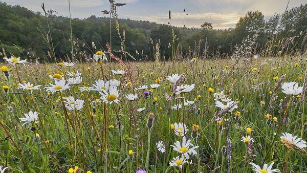 Citizen’s Assembly's biodiversity loss findings